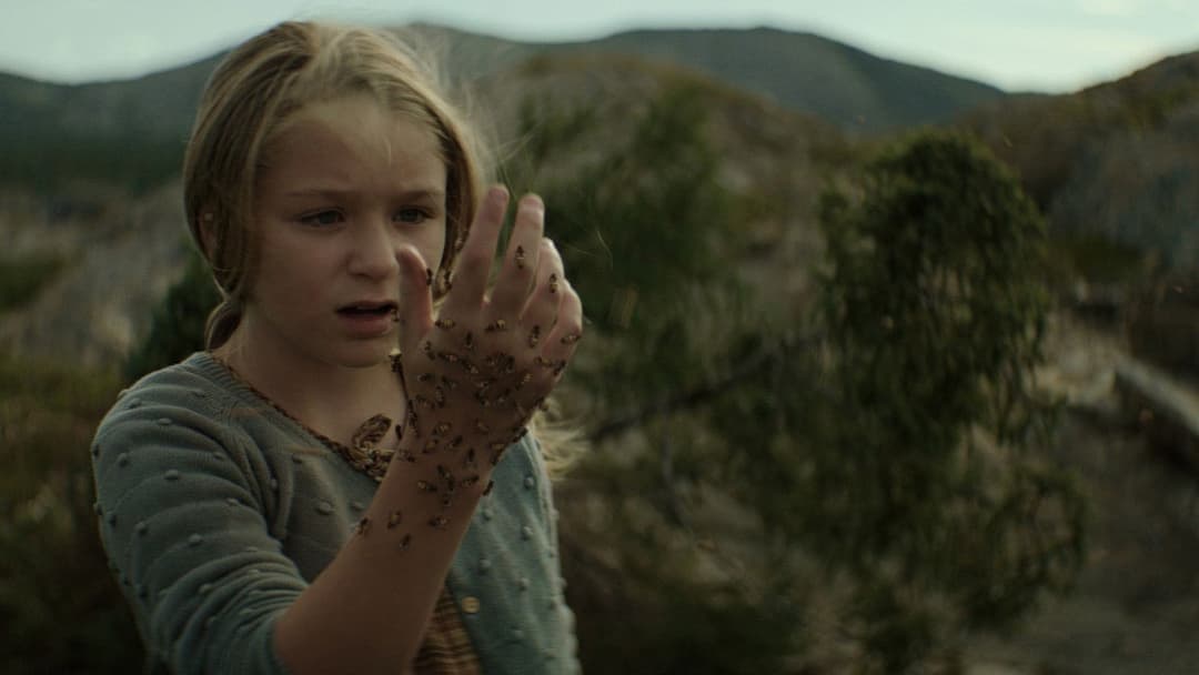 The King Tide backdrop 6