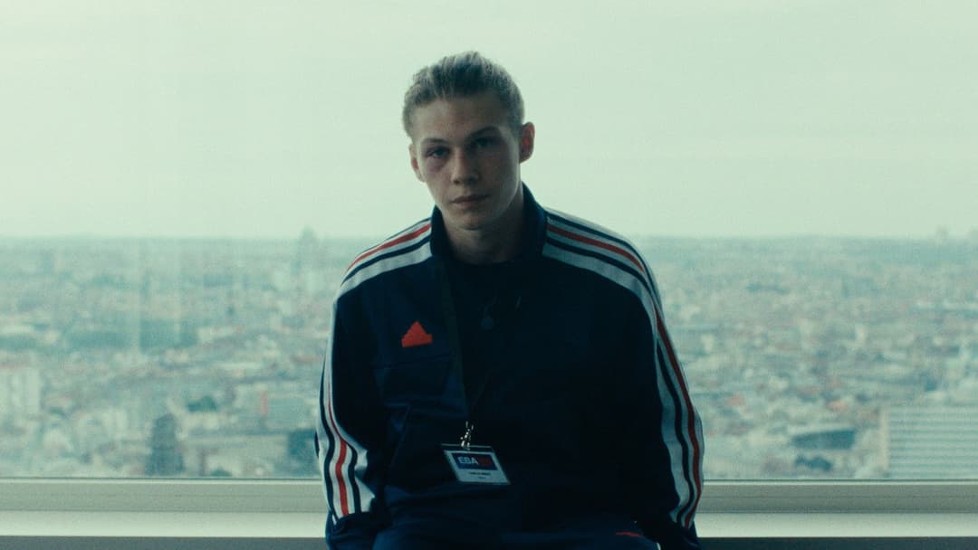 Wild Foxes backdrop 5