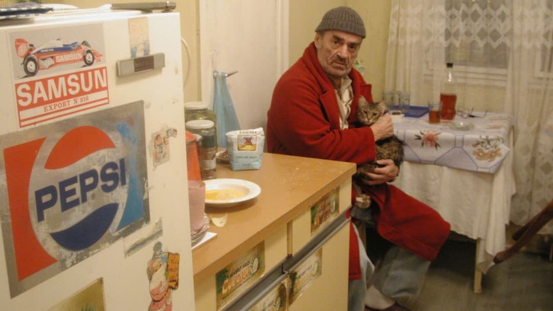 Moartea domnului Lăzărescu backdrop 7