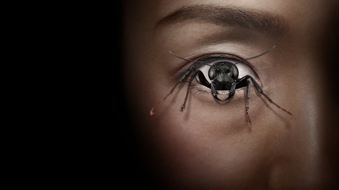 Control Freak backdrop 6