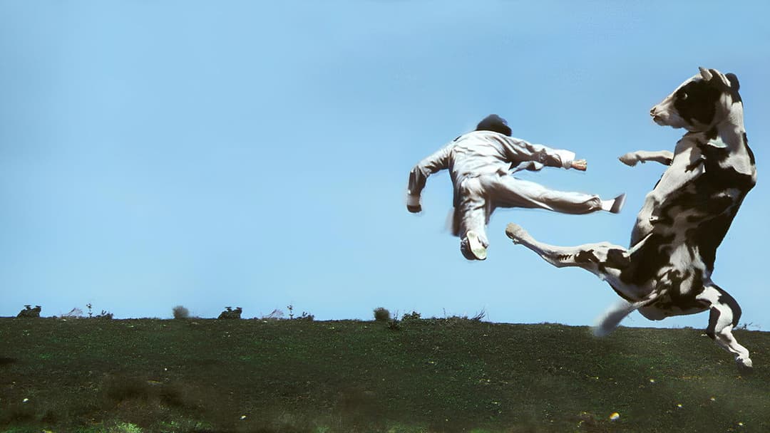 Кунг Пу: Кулак атакує backdrop 9