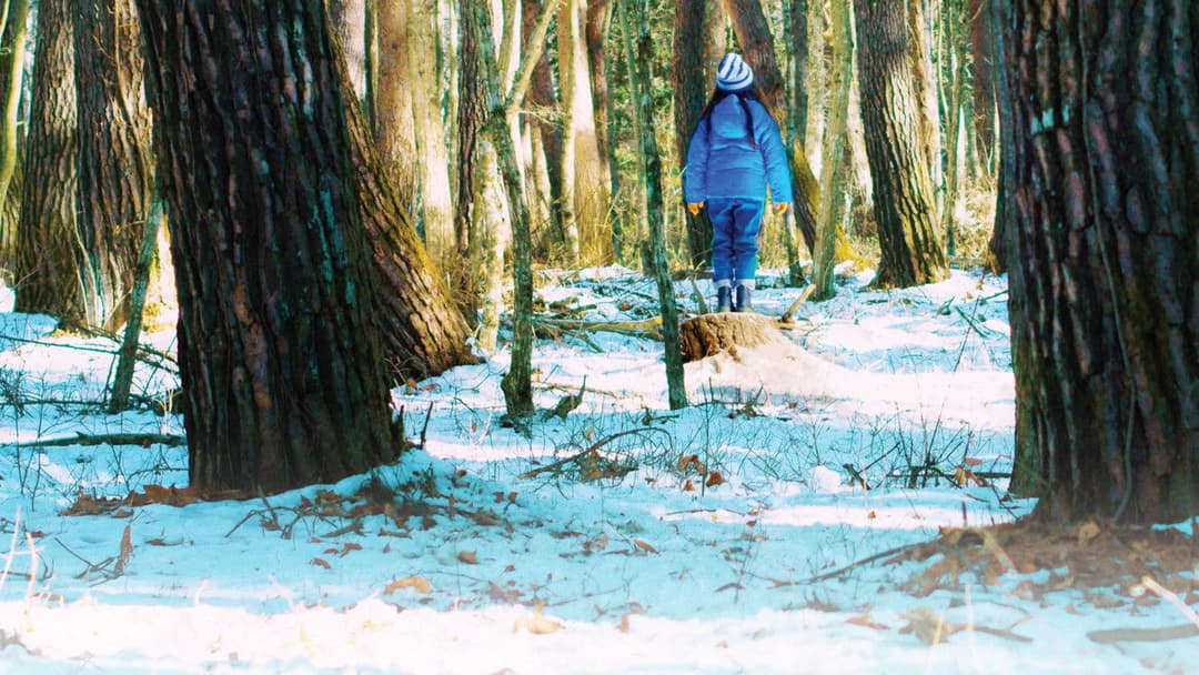 Evil Does Not Exist backdrop 2