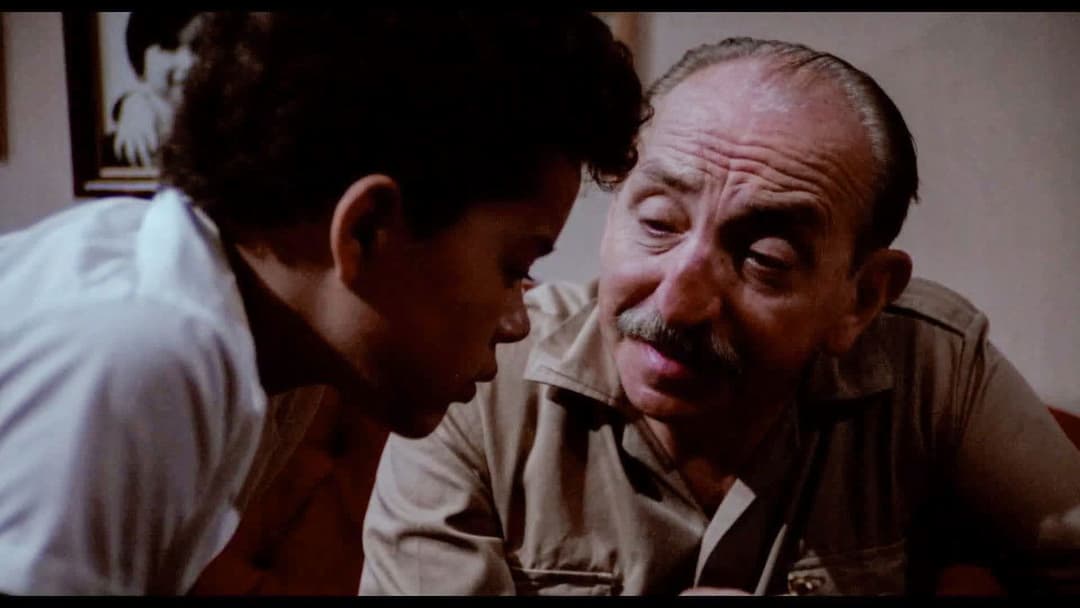 Rojo amanecer backdrop 3