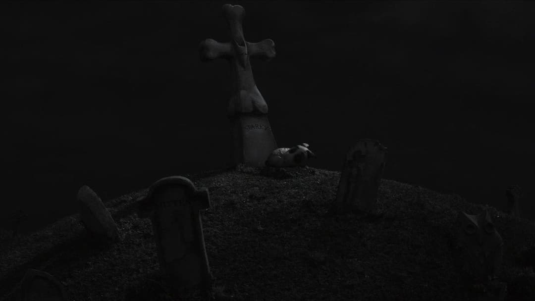 Франкенвiнi backdrop 15