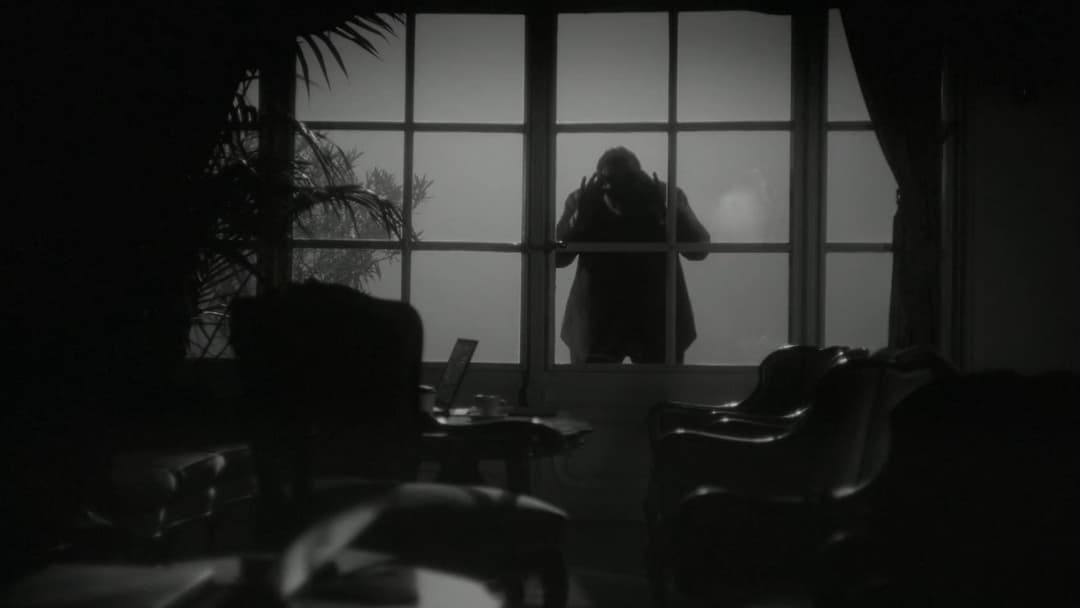 Чутки backdrop 4