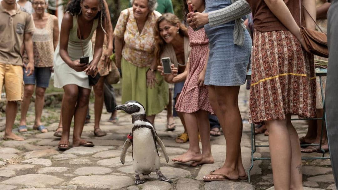 Мій друг пінгвін backdrop 18