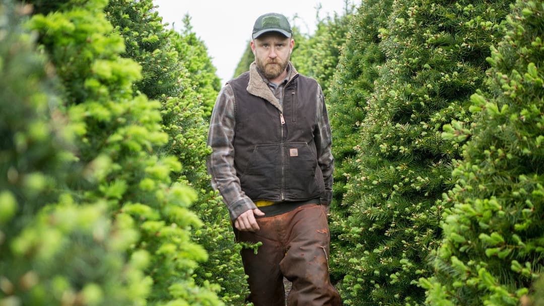 Не залишай слідів backdrop 4