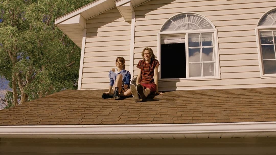 Winter Spring Summer or Fall backdrop 4