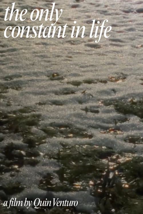 The Only Constant In Life