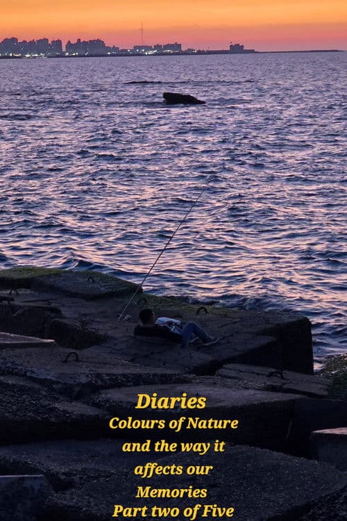 Diaries: Colours of Nature and the Way It Affects Our Memories.