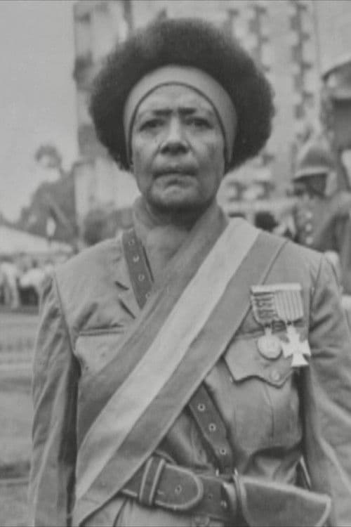 Black Lions – Roman Wolves