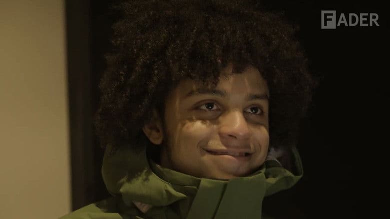 Documentary backdrop