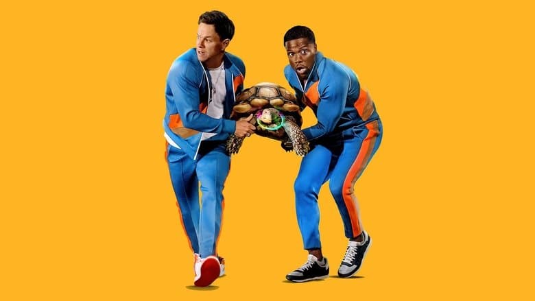 rejuvenating backdrop