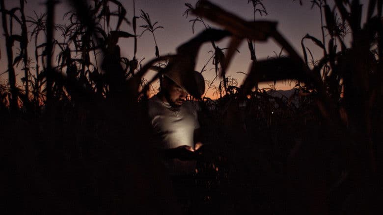 Documentary backdrop