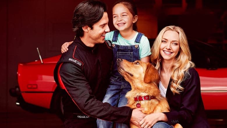 contemplative backdrop