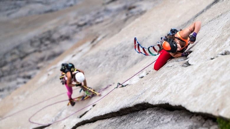 Documentary backdrop