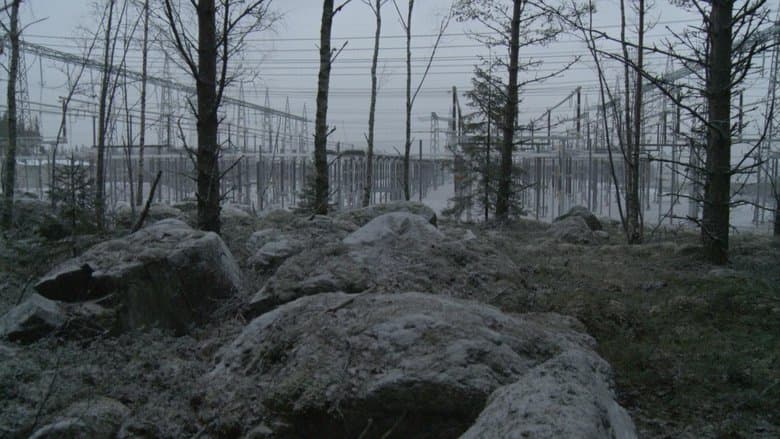 Dokumentarfilm Hintergrund