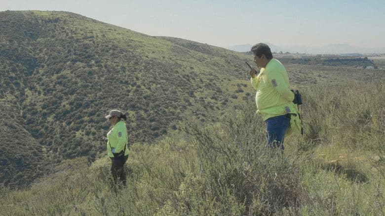 Documentary backdrop
