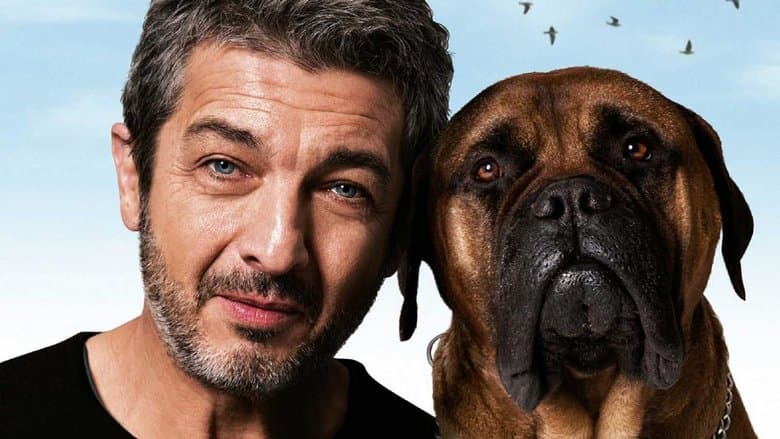 Komödie Hintergrund