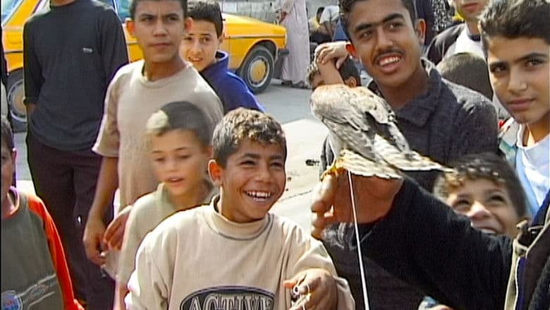 Dokumentarfilm Hintergrund