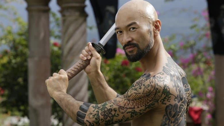 Фон Пригоди