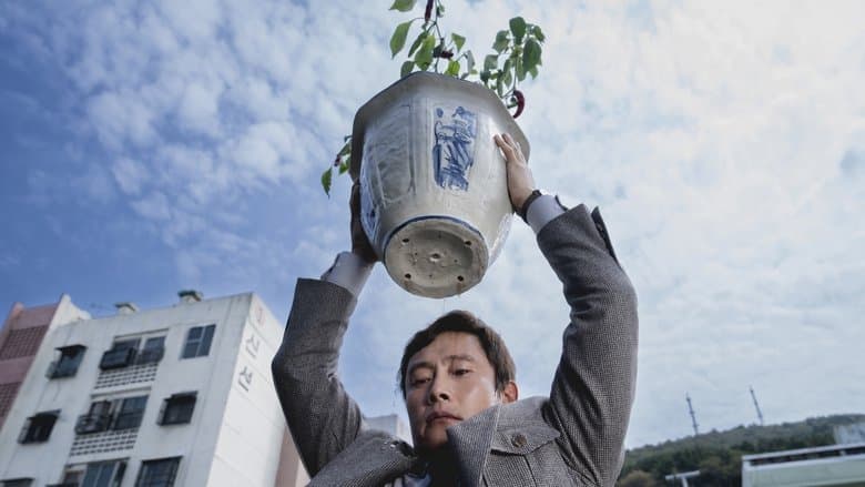 Dark Comedy backdrop