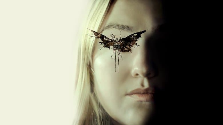 Mystic Mystery backdrop