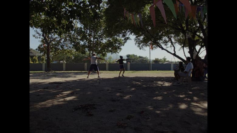 Documentary backdrop