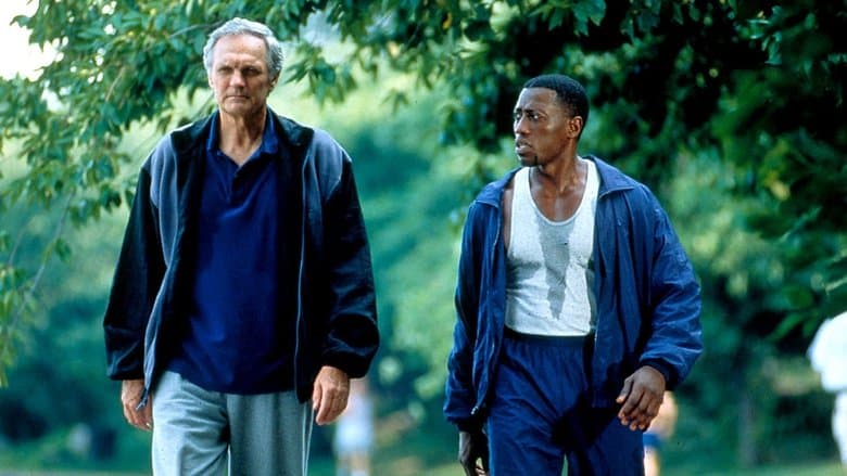 Thriller Hintergrund