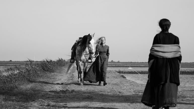 abgewogen Hintergrund