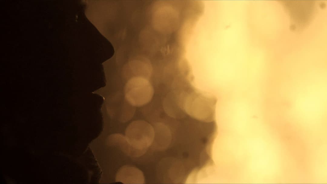 The Girl with All the Gifts backdrop 5