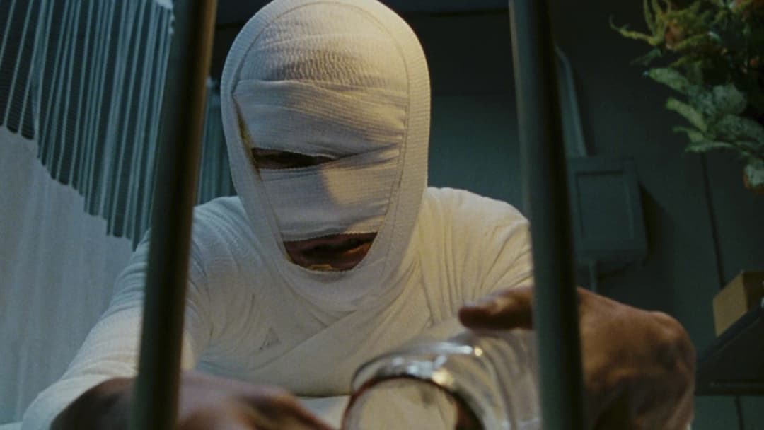 Ichi the Killer backdrop 4