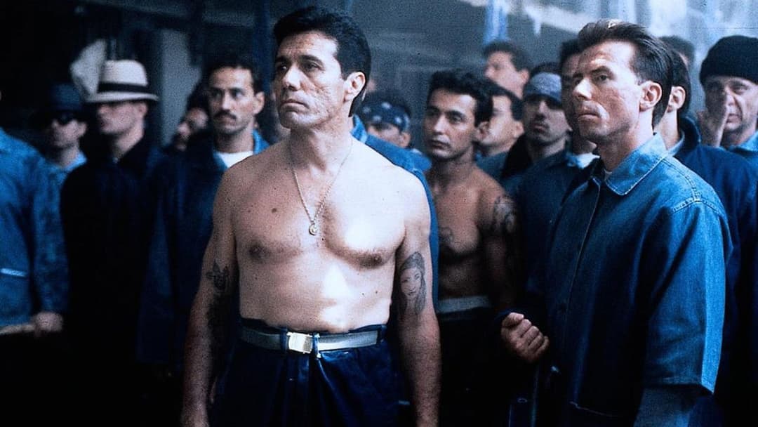 Das Gesetz der Gewalt backdrop 5