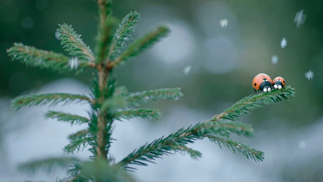 Die Winzlinge - Abenteuer in der Karibik backdrop 6