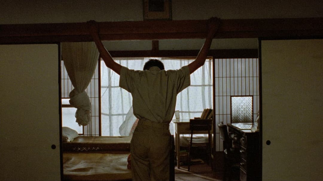 Ein Sommer zum Verlieben backdrop 14