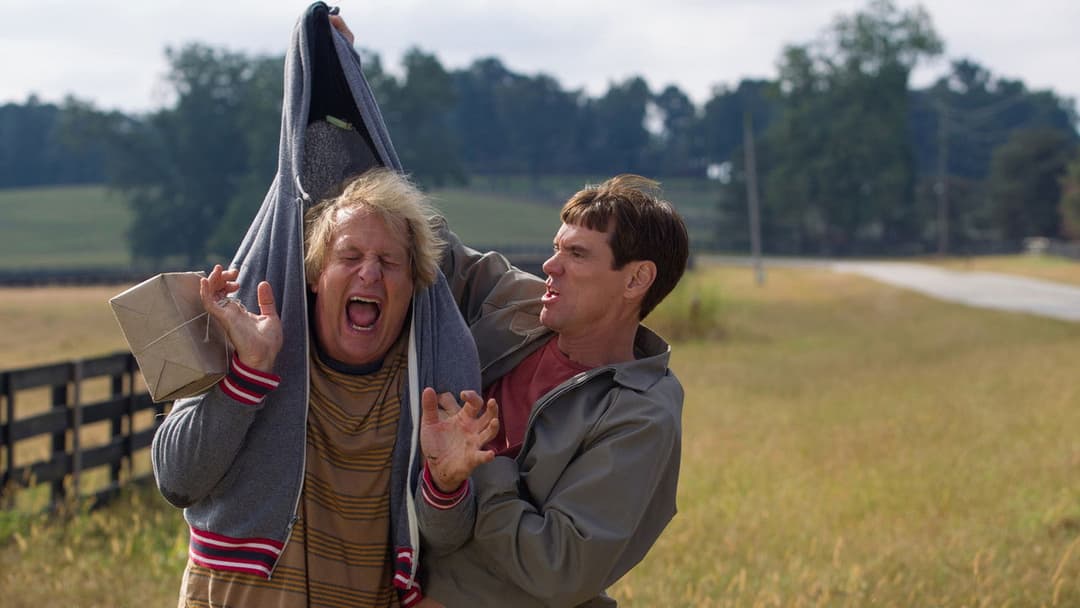 Dumm und Dümmehr backdrop 18