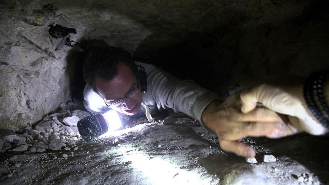 The Borderlands backdrop 3