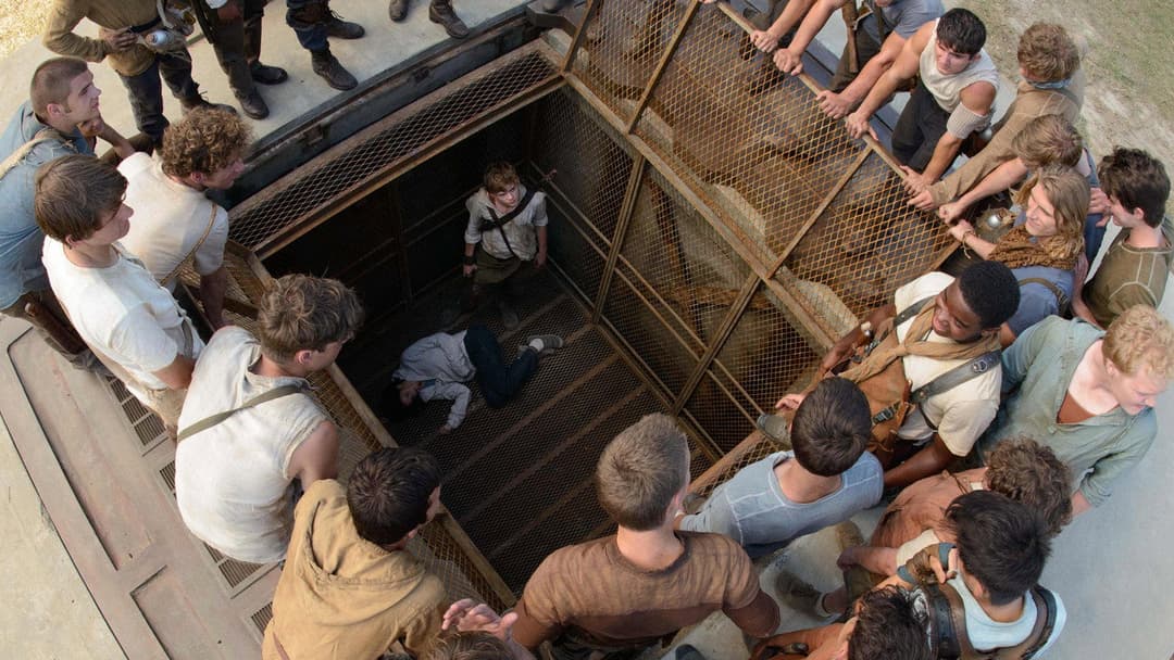 The Maze Runner backdrop 15