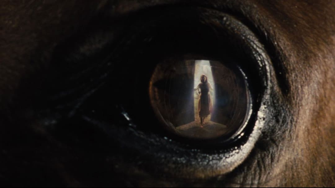 Gefährten backdrop 13