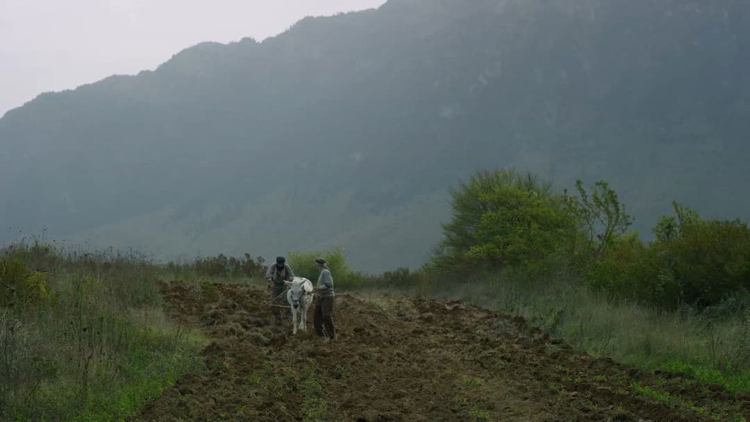 Saint Paisios backdrop 17