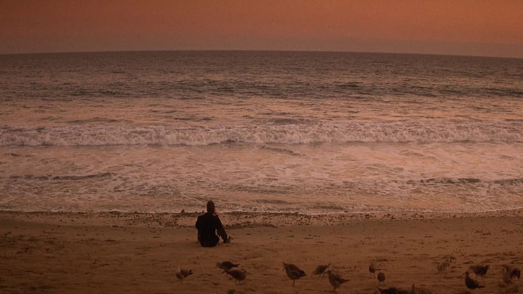 Пригоди Форда Ферлейна backdrop 2