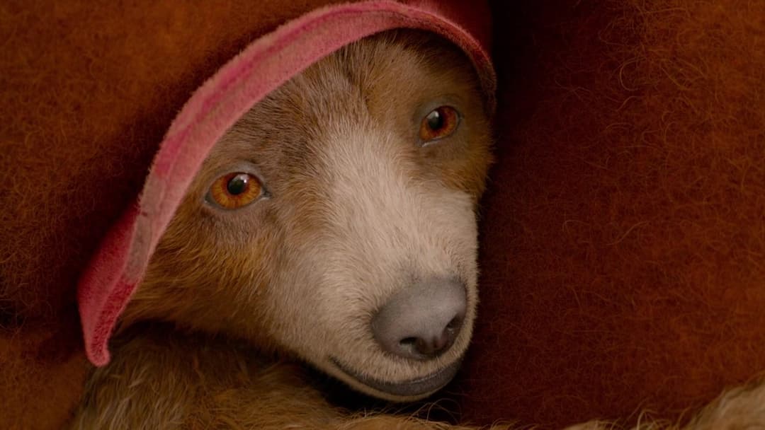 Paddington 2 backdrop 13