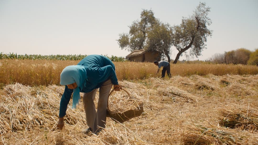 Return To Dust backdrop 7