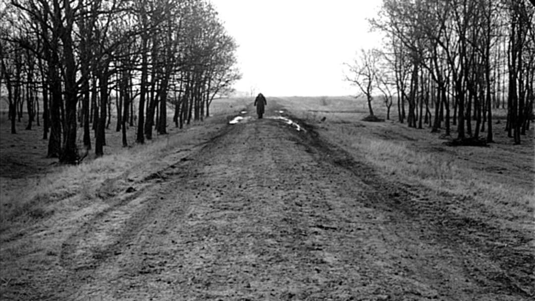 Sátántangó backdrop 15