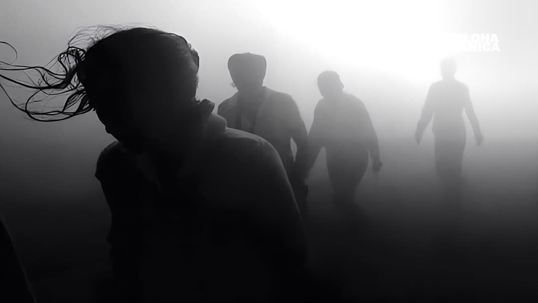 Green Border backdrop 1