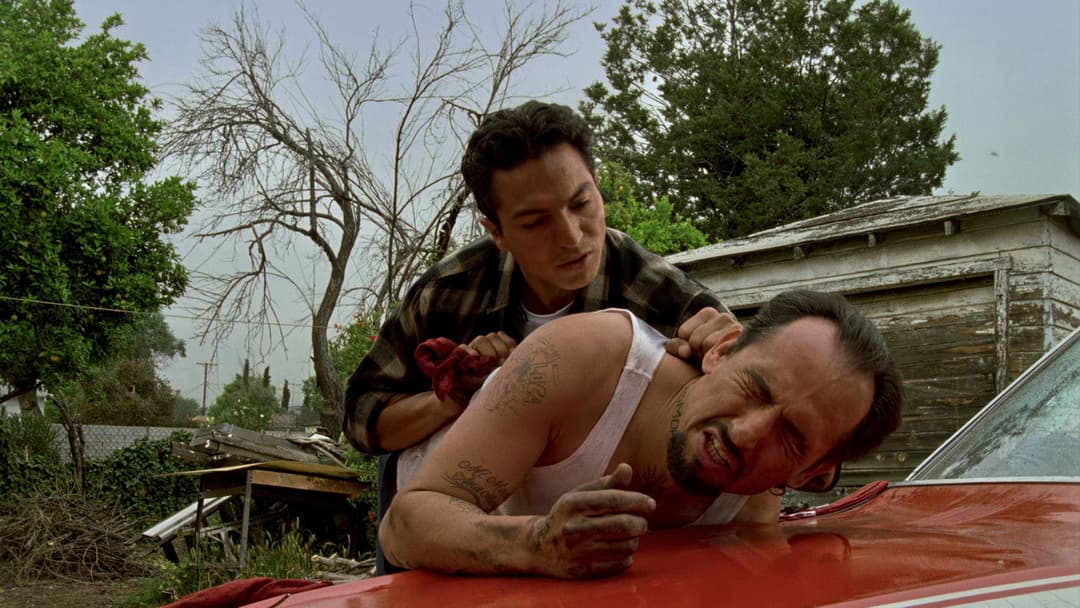 Blood In Blood Out - Verschworen auf Leben und Tod backdrop 14