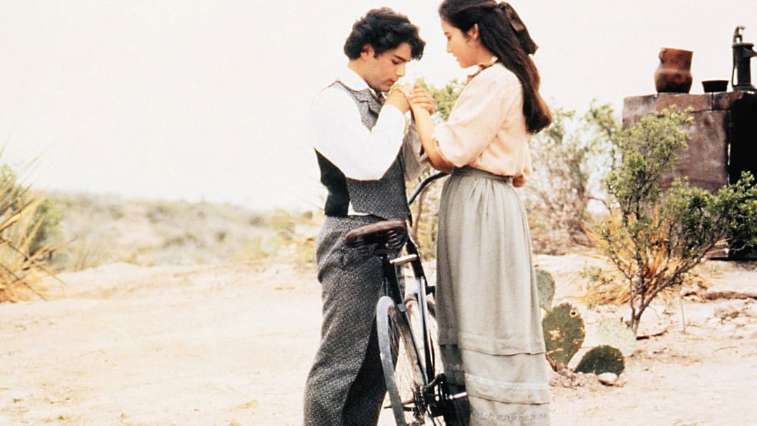 Bittersüße Schokolade backdrop 7