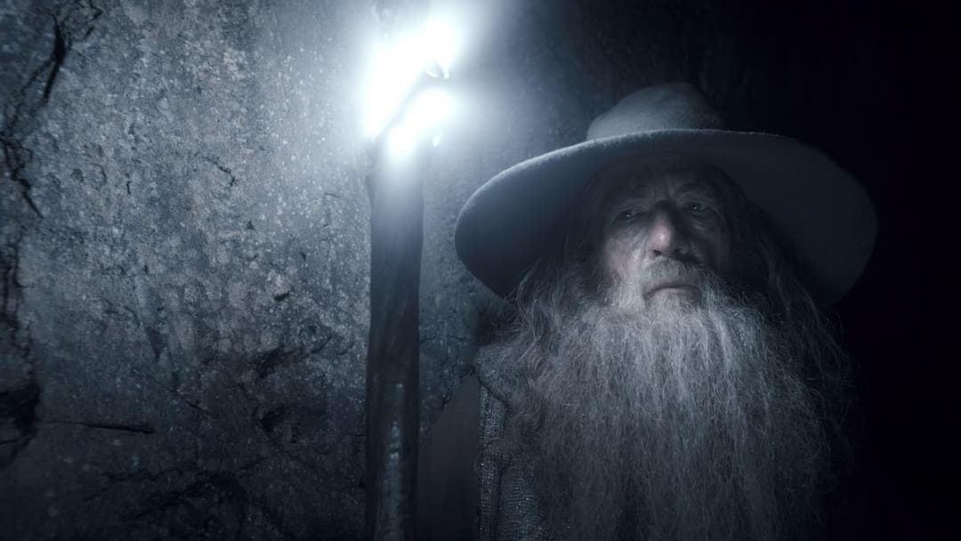 Der Hobbit - Smaugs Einöde backdrop 4