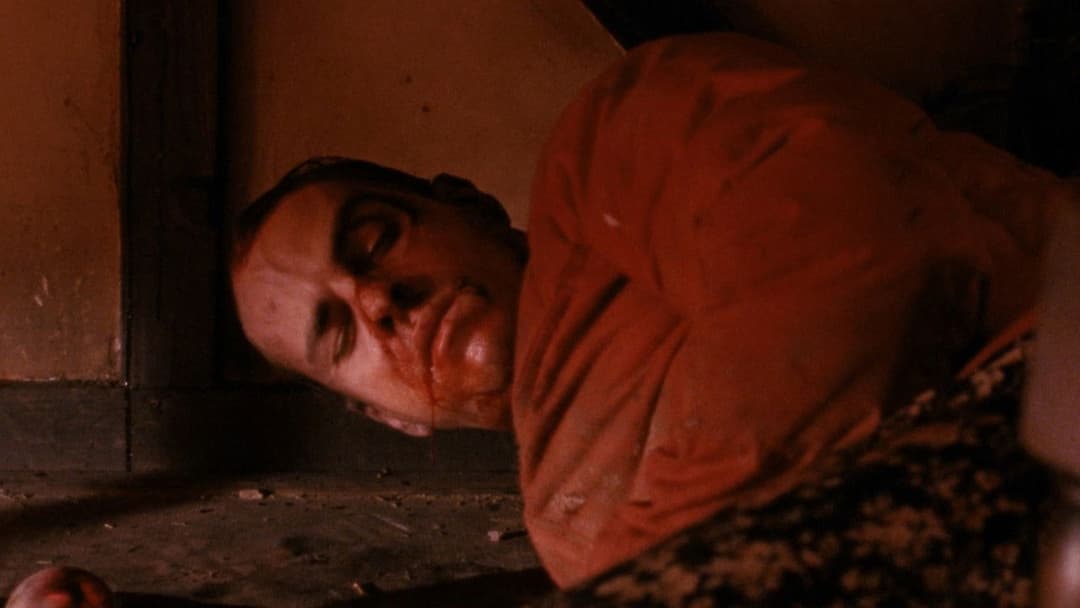 Calvaire - Tortur des Wahnsinns backdrop 12