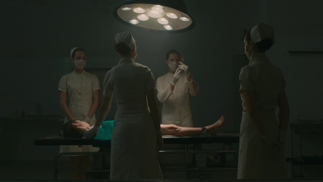 Évolution backdrop 8